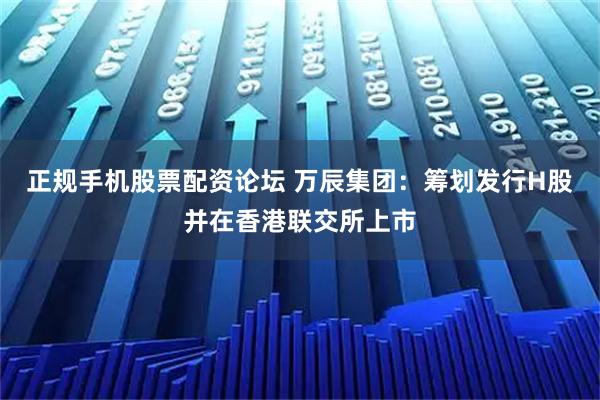 正规手机股票配资论坛 万辰集团：筹划发行H股并在香港联交所上市