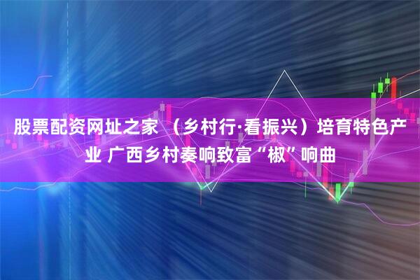 股票配资网址之家 （乡村行·看振兴）培育特色产业 广西乡村奏响致富“椒”响曲