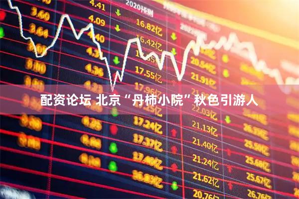 配资论坛 北京“丹柿小院”秋色引游人